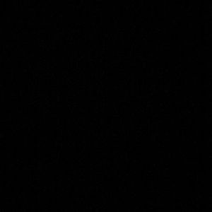 Meet your Posher, Cheyenne